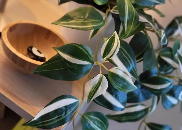 Sul Parco * Μόντενα